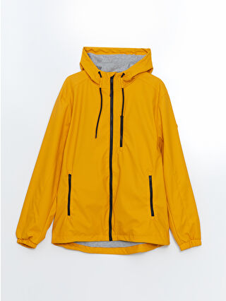 Dark Yellow