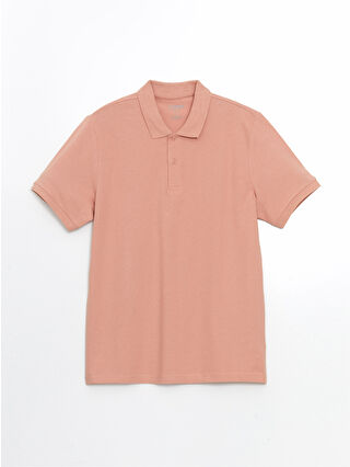 Dull Salmon
