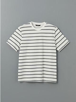 Grey Striped