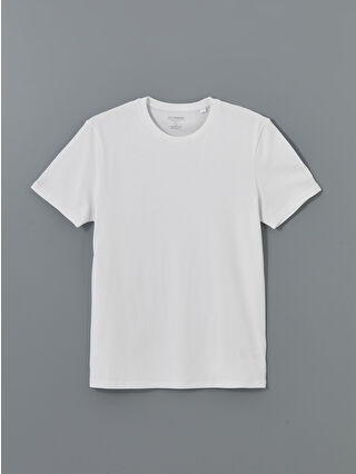 Buxe White