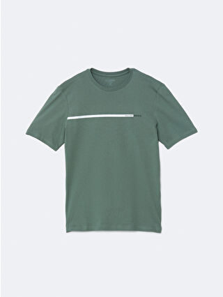 Dull Green