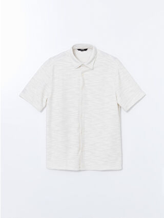 Pale Beige