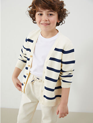 Indigo Striped