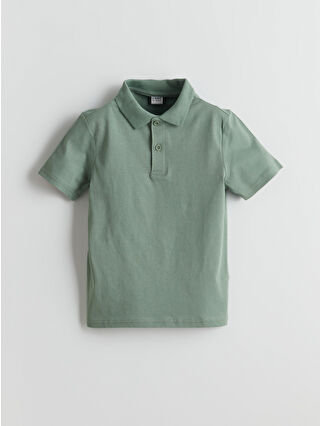 Dull Green