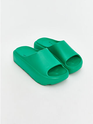 Dull Green