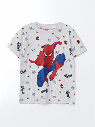 Gri Melanj Baskılı