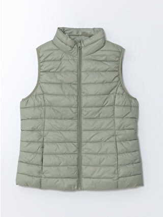 Dull Green