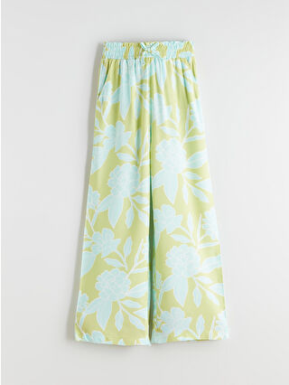 لون أخضر زيتوني فاتح