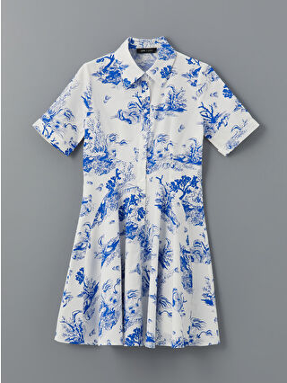 Blue Printed
