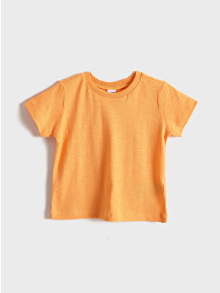 Light Orange
