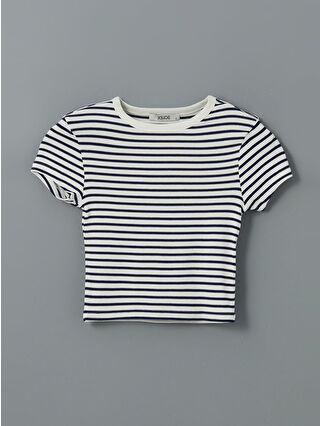 Navy Striped