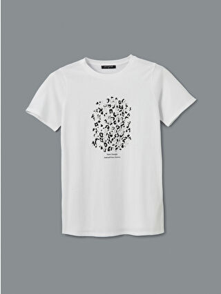Buxe White