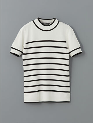 لون أسود مخطط