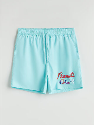 Dull Aqua Green