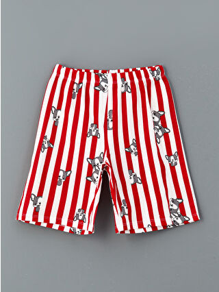 Kırmızı Baskılı