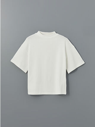 أوبتيك وايت