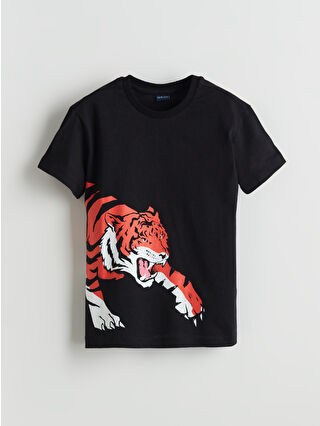 لون أزرق لافندر