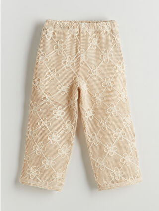 Cream Beige