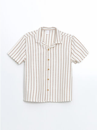 لون القرفة المخطط