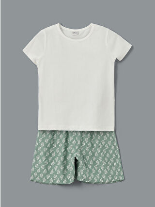 لون أخضر زيتوني فاتح