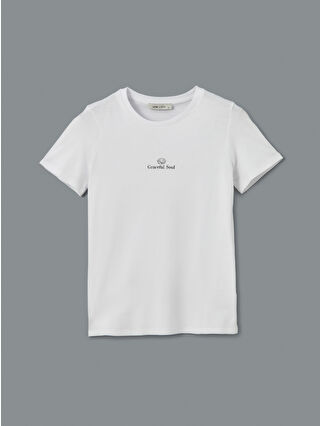 Buxe White