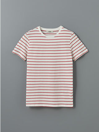 Red Striped
