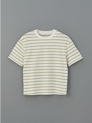 Light Khaki Striped