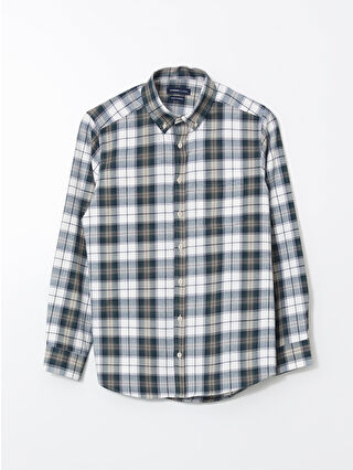 لون أخضر زيتوني فاتح