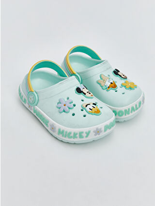 Pastel Mint