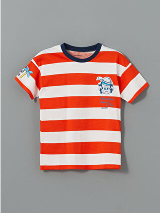 Canlı Turuncu Çizgili