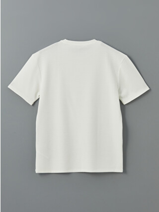 LCW Vision Crew Neck Short Sleeve Men's T-Shirt - S5KO15Z8-R9J