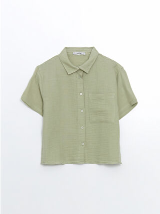 Dull Green