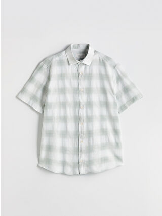 لون أخضر زيتوني فاتح