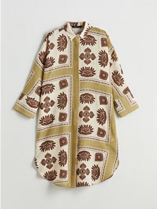 لون أخضر زيتوني فاتح