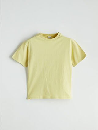 Light Olive Green