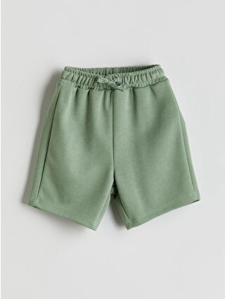 Dull Green