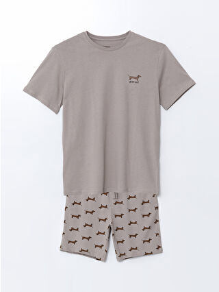 لون كاميل تشيك