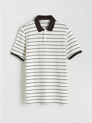 Dark Brown Striped