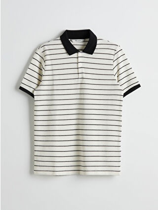 Ecru Striped