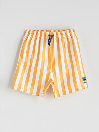 Bright Orange Striped