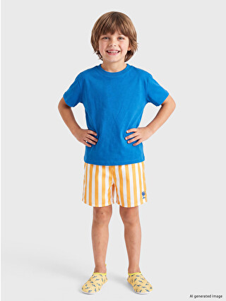 Bright Orange Striped