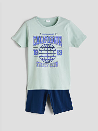 لون أخضر باستيل