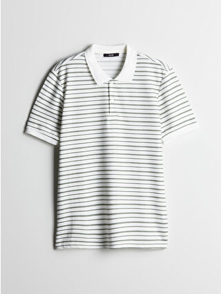 Green Striped