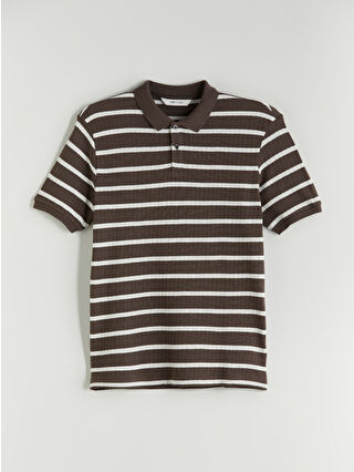 Dark Brown Striped