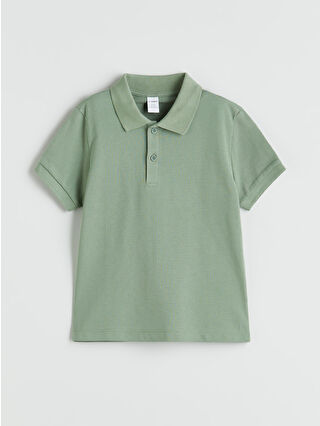 Dull Green