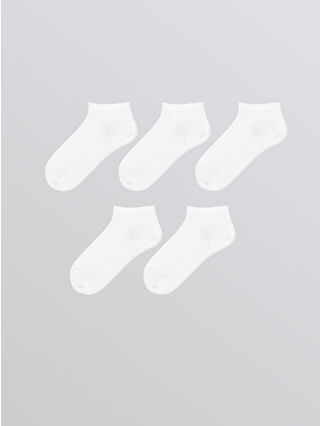 مرجاني فاتح