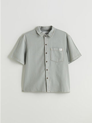 Dull Green