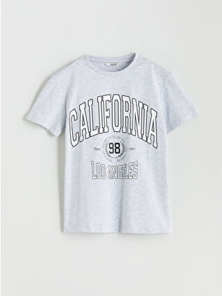 Light Grey Melange