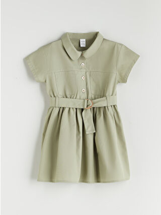 Dull Green