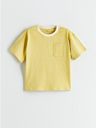 Açık Zeytin Yeşili